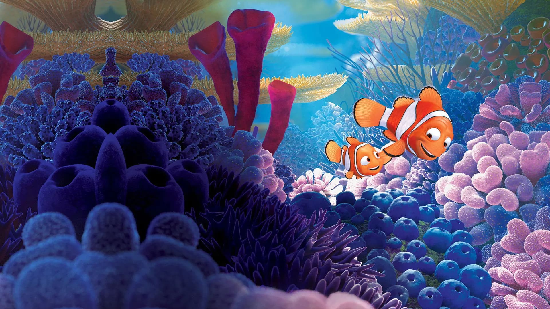Nemo'yu Arama filminden bir sahne